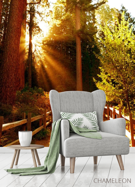 Фотообои Проход в лес - 3