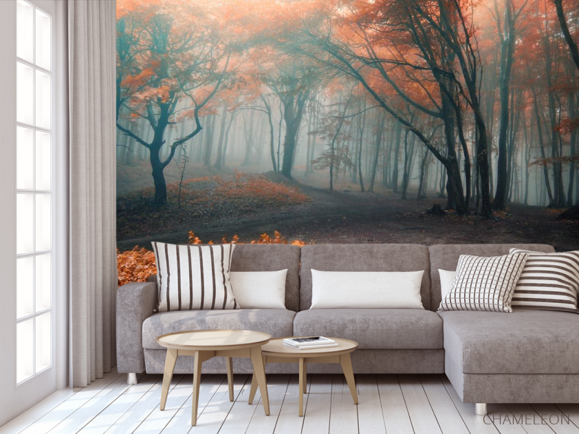 Фотообои осенний лес - 3