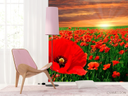 Фотошпалери Схід на маковому полі - 4