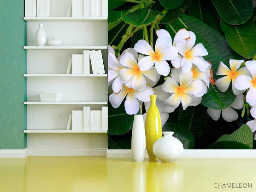 Фотошпалери Маленькі біленькі квіти - 3