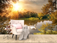 Фотообои лебедь на озере - 4