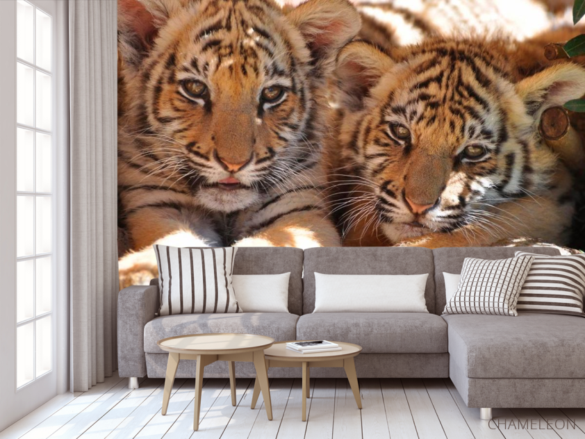 Фотообои Тигрята - 3