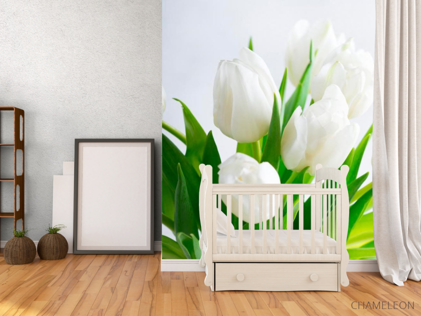 Фотообои Тюльпаны - 2