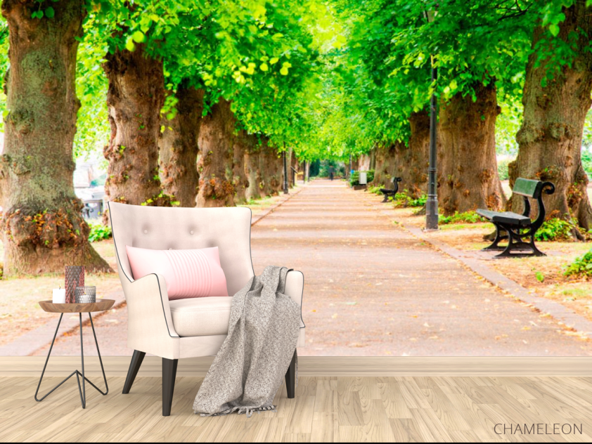 Фотообои Тоннель из деревьев - 4