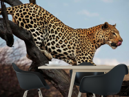 Фотошпалери Полює гепард - 1