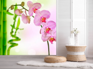Фотошпалери Орхідеї і бамбук - 2