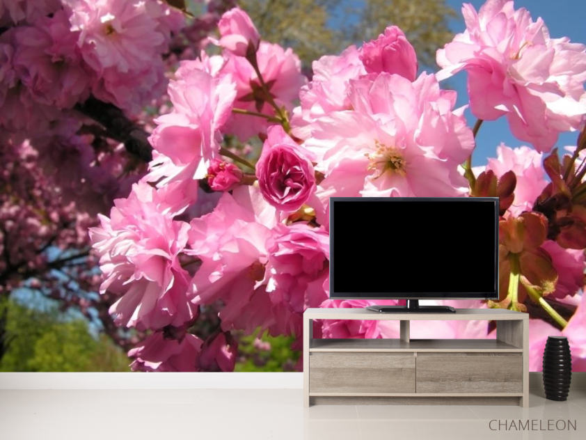 Фотообои розовое цветение - 2