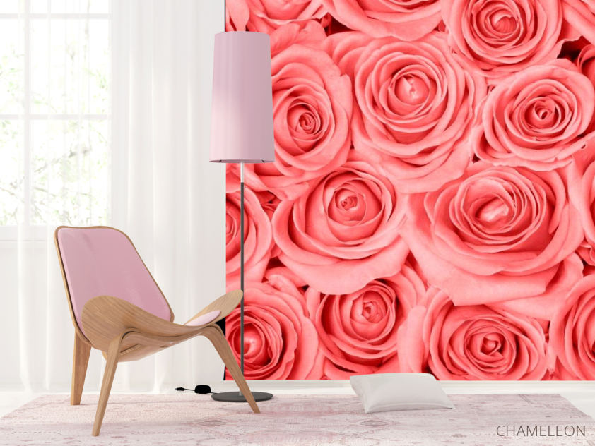 Фотошпалери Кремово-рожеві троянди - 4