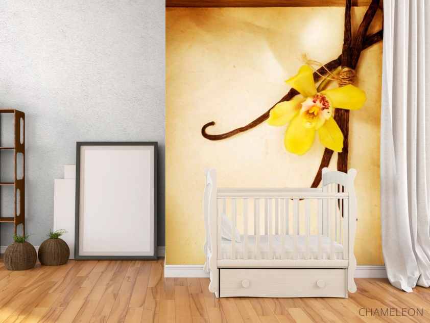 Фотообои Ваниль - 2