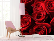 Фотошпалери Букет троянд червоного кольору - 4