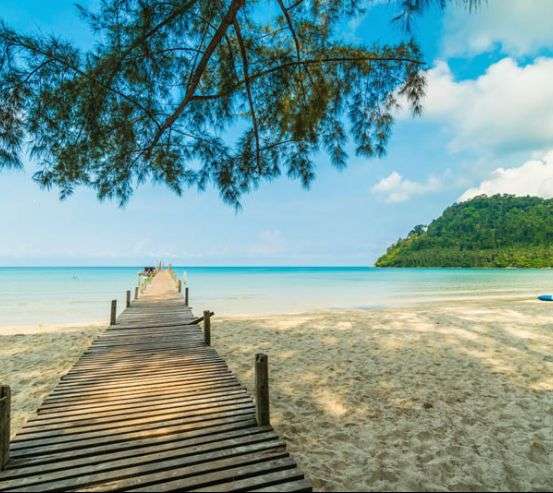 Фотошпалери доріжка до моря 30753