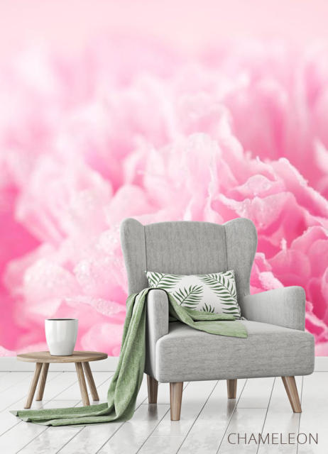 Фотообои Розовые лепестки - 3