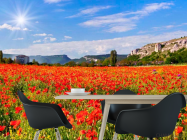 Фотошпалери Поле маків - 1