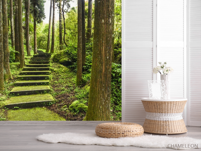 Фотошпалери зелені сходи в лісі - 2