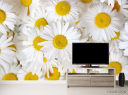 Фотообои ромашки - 2