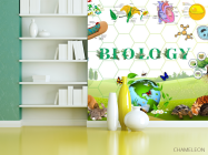 Фотошпалери Для кабінету біології - 3