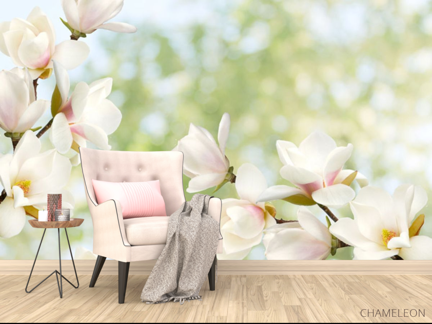 Фотообои Цветы магнолии - 4