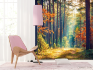 Фотошпалери вересневий ліс - 4