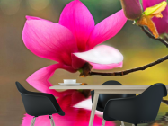 Фотошпалери Малинова орхідея - 1