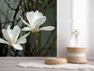 Фотошпалери Білосніжні квітки - 2