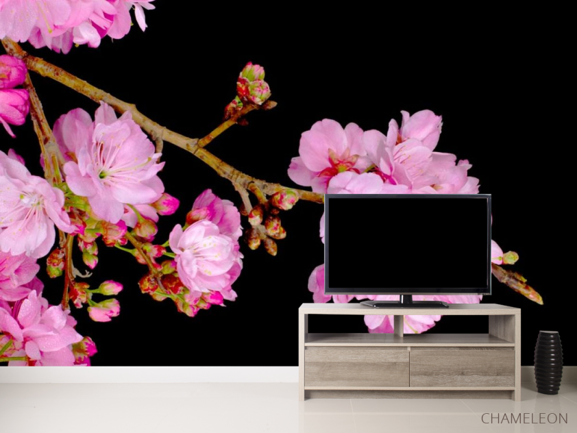 Фотообои Соцветия персика - 2