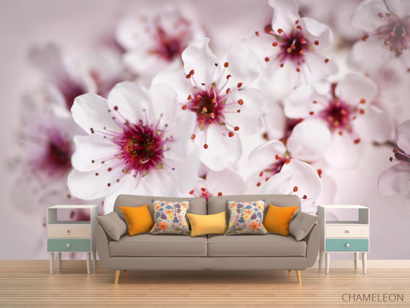 Фотообои цвет вишни - 1