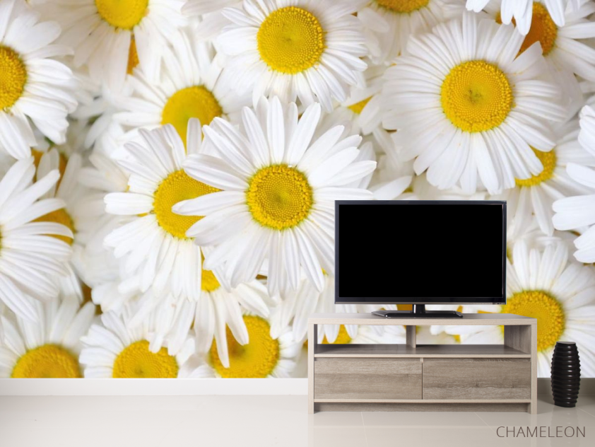 Фотообои ромашки - 2