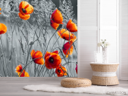 Фотошпалери червоні маки на чорно-білому тлі - 2