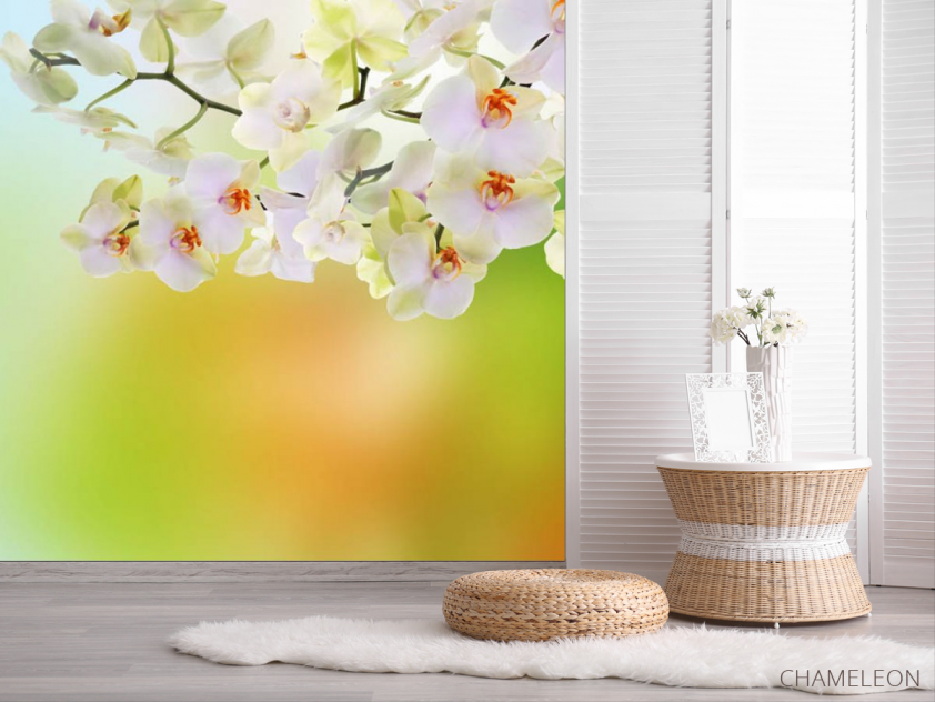 Фотошпалери орхідеї з салатовим фоном - 2