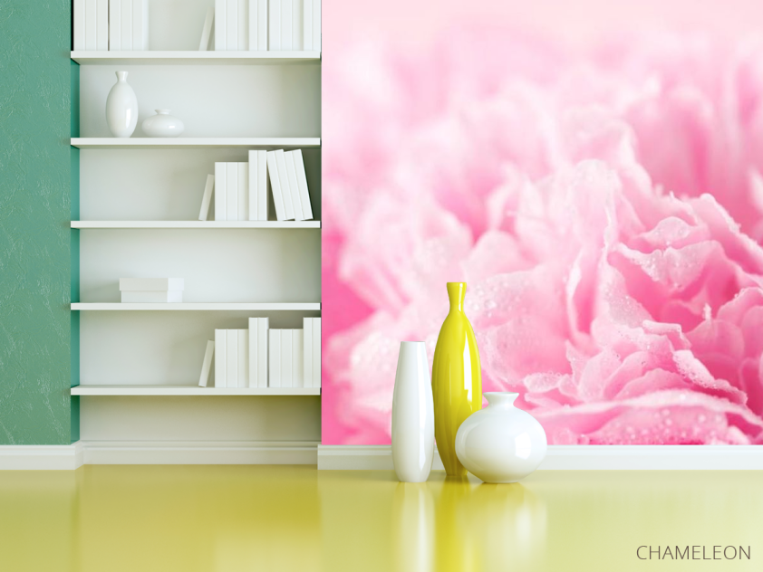 Фотошпалери Рожеві пелюстки - 3