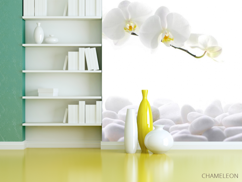 Фотообои Орхидеи белые - 3