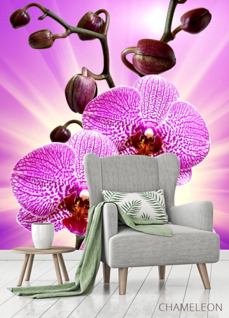 Фотообои леопардовая орхидея с сиянием - 3
