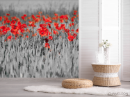 Фотошпалери Червоні маки на тлі чб - 2