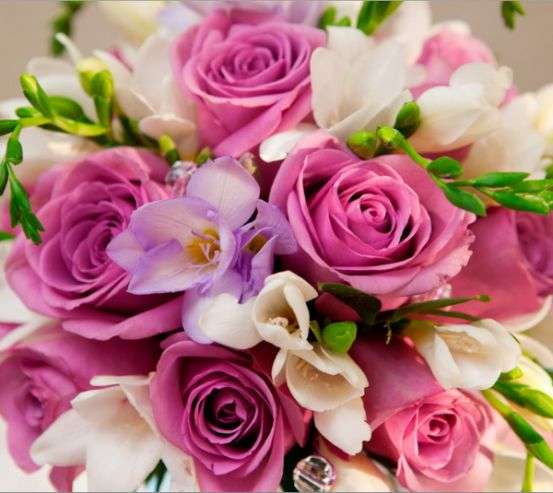 Фотообои Букет роз 15953