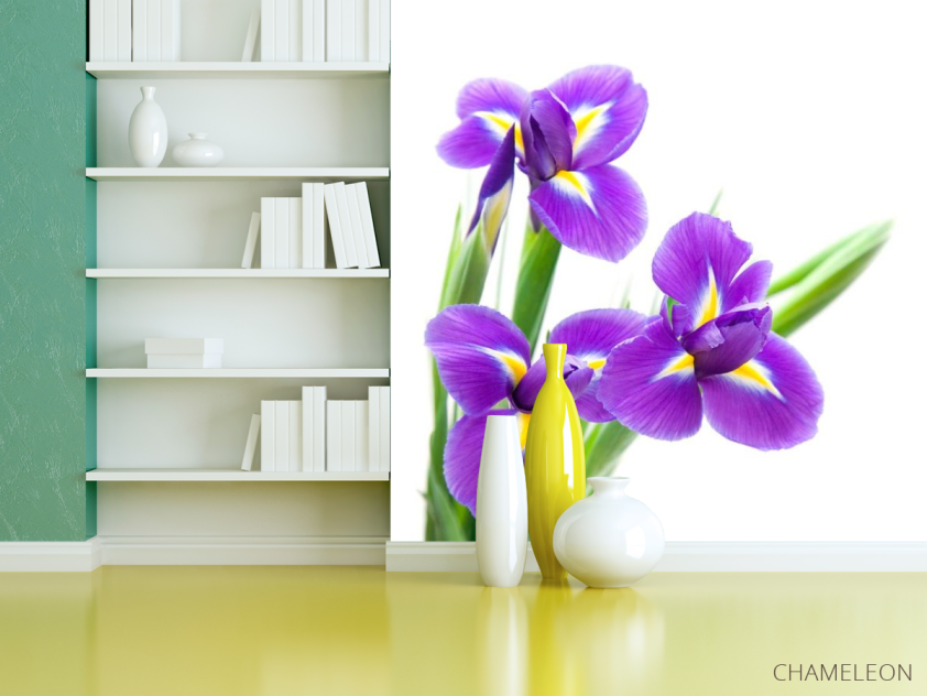 Фотообои Анютины глазки фиолетовые - 3