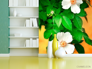 Фотошпалери Цвіте шипшина - 3