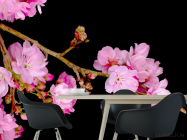 Фотошпалери Суцвіття персика - 1