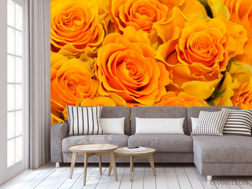 Фотообои Розы желтого оттенка - 3