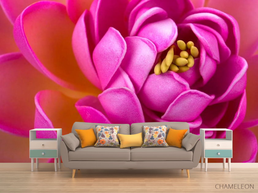 Фотообои Малиновый пион - 1