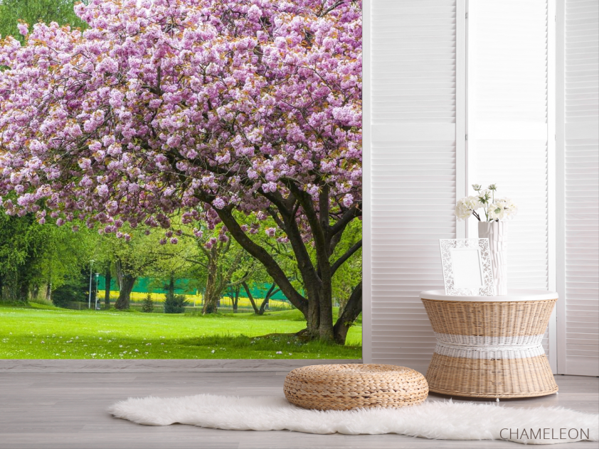 Фотошпалери дерево в кольорі - 2