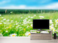 Фотообои Степные белоснежные ромашки - 2