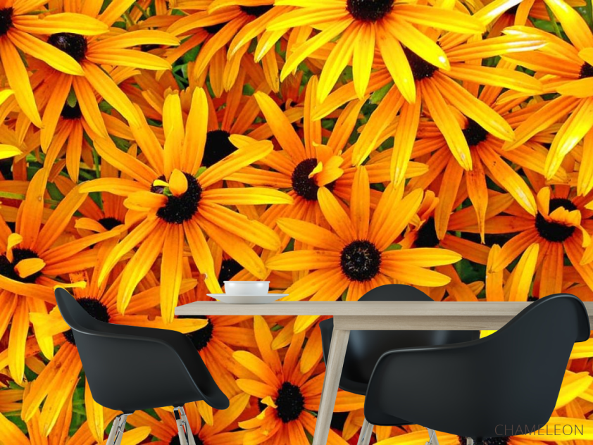 Фотошпалери Квіти жовтого кольору - 1