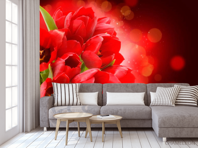 Фотообои Алые тюльпаны - 3