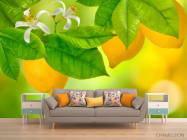 Фотообои Лимон - 1