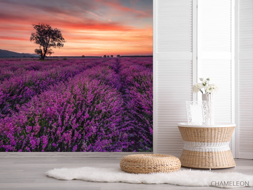 Фотошпалери бузкове поле і рожевий захід - 2