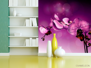 Фотообои Орхидеи фиолетовые - 3