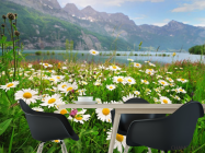 Фотошпалери ромашки і гори - 1