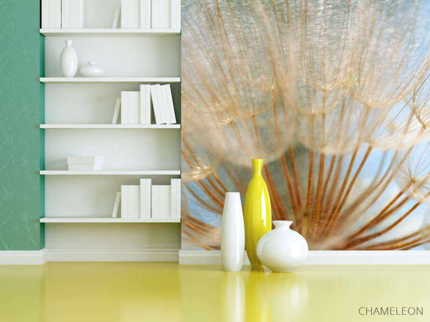 Фотошпалери Макро-зйомка кульбаба - 3