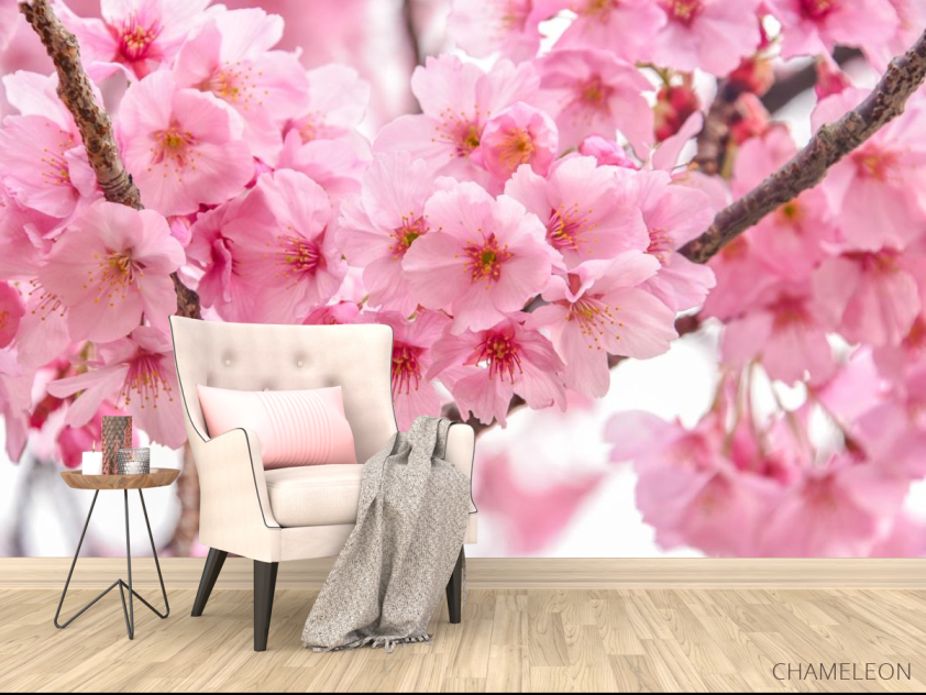 Фотообои две ветки сакуры - 4