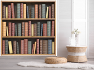 Фотообои книжный шкаф 3полки - 2